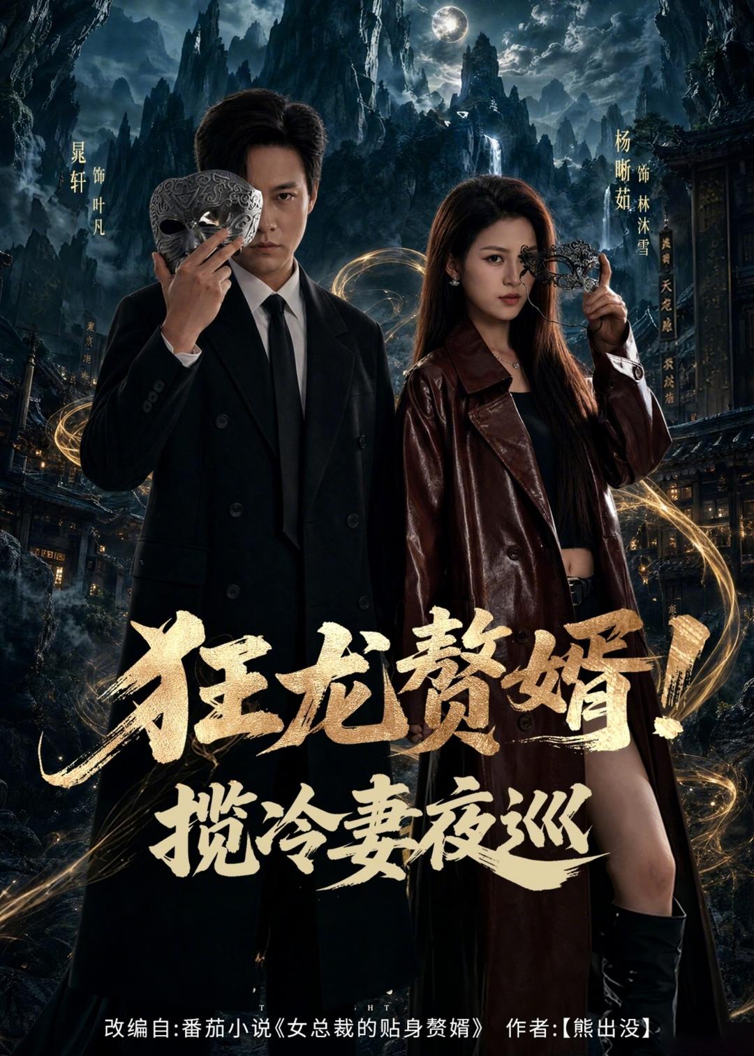 狂龙赘婿!揽冷妻夜巡